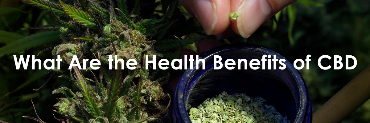 what are the health benefits of cbd
