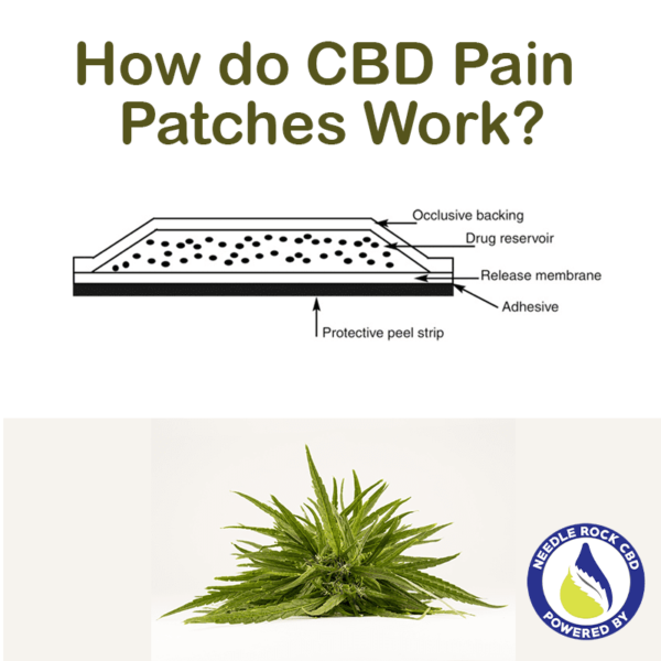 how do cbd pain patches work?