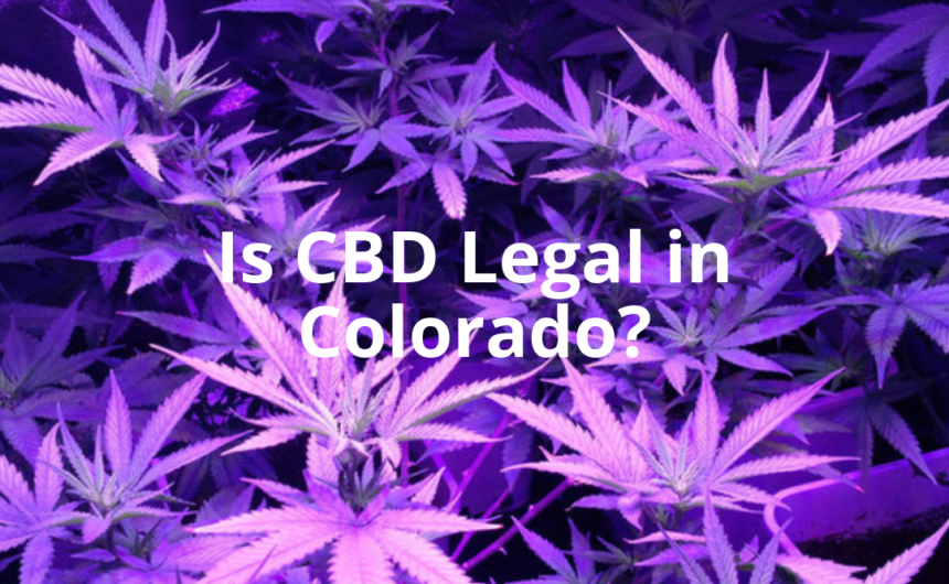is cbd legal in colorado